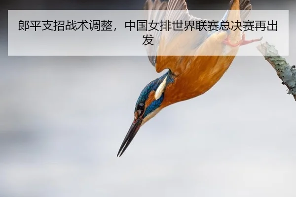 郎平支招战术调整，中国女排世界联赛总决赛再出发