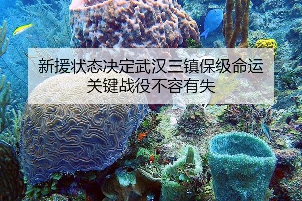 新援状态决定武汉三镇保级命运 关键战役不容有失
